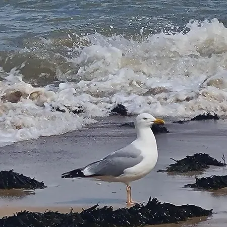 アパート La Gardiniere