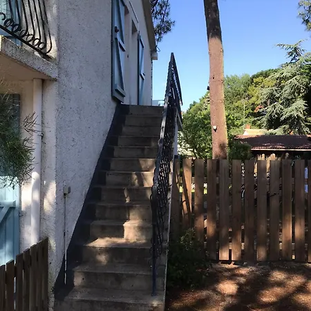 La Gardiniere ラ・バール・ド・モン